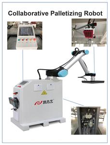 Sistema de robot de paletización de paletizador colaborativo para apilamiento de cartón/caja - Product Image 5