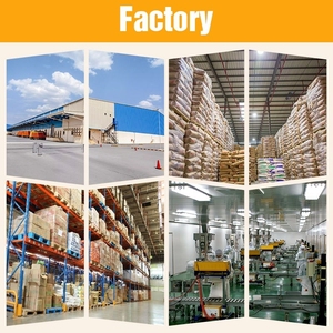 Yunanistan'dan kozmetik pişirme için organik ekstra % sızma zeytinyağı toplu fiyat rafine bakire işleme şişelerde paketlenmiş - Product Image 4