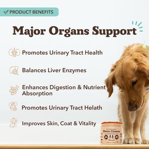 Supplément de foie naturel chiens même désintoxication et aide à la santé hépatique vétérinaire recommandé formule professionnelle soins de santé pour animaux de compagnie et supplément - Product Image 4