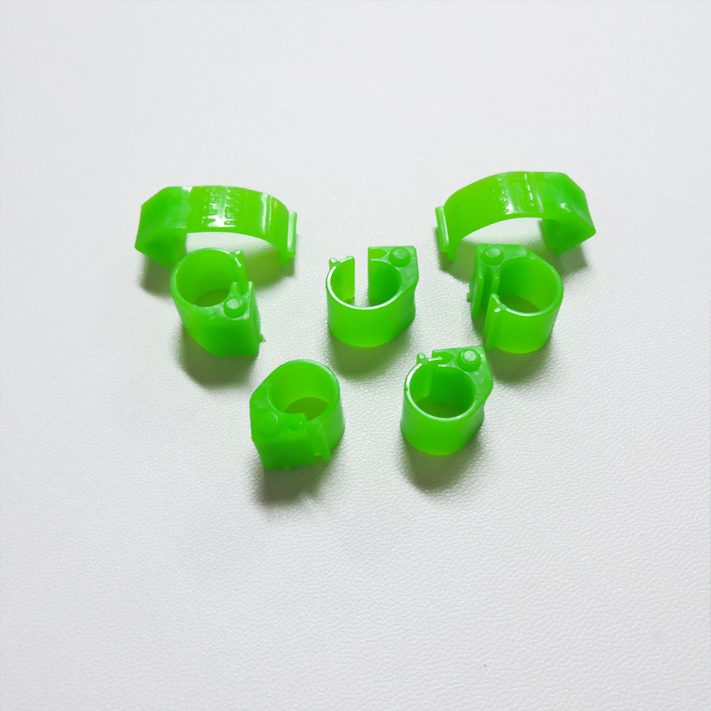 Vert