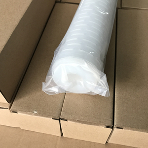 <strong>10</strong> Inch 0.2 Micro Polyethersulfone (PES) Water Cartridge Filters with 220V Filter Housing Essential for Purification - Product Image 3