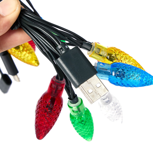 2025 Cable de carga LED de vacaciones Cadena de luz de burbuja USB Piña LED Color Tipo C Cable USB Luces de Navidad Cable de carga - Product Image 3