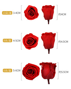 ग्रेड ए बिग हेड संरक्षित गुलाब 6/8/12 हेड्स थोक उच्च गुणवत्ता वाले शाश्वत गुलाब की सजावट वेलेंटाइन डे DIY उपहार के लिए - Product Image 6
