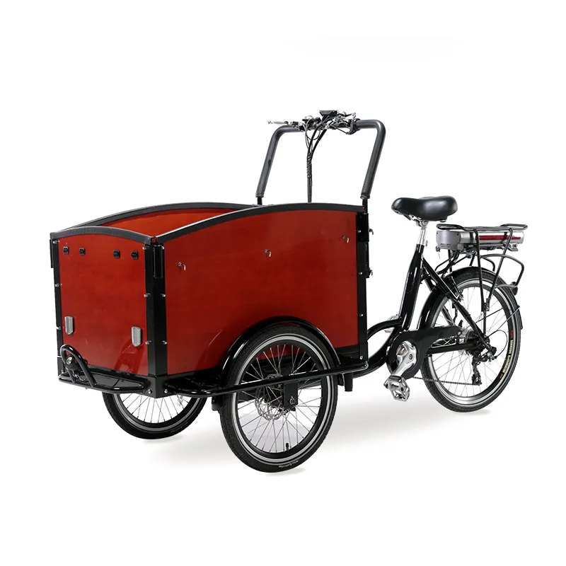 3 पहिया इलेक्ट्रिक साइकिल बिक्री के लिए भारी शुल्क बंद केबिन वितरण बाइक कार्गो tricycle