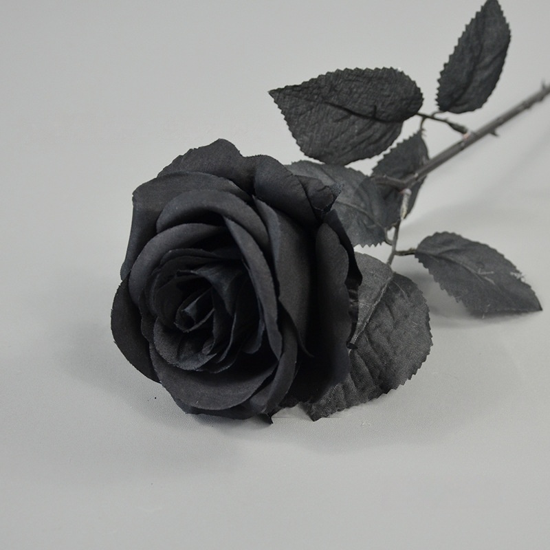 Varilla negra, negra