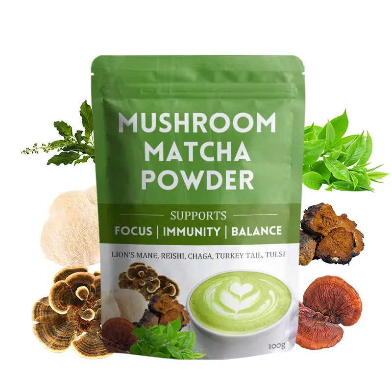 Complément alimentaire de marque privée mélange de thé vert matcha crinière de lion poudre de matcha aux champignons queue de dinde super aliment