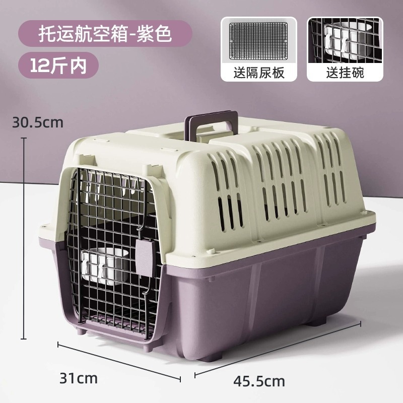 Purple-small size