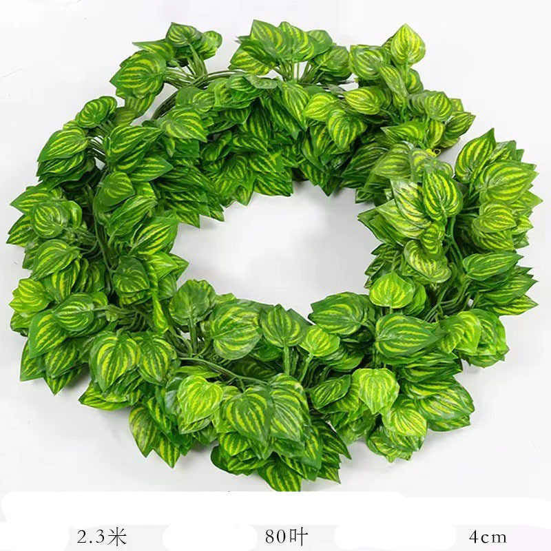 E-81 leaves Green