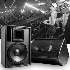 F-15 + 15-Inch 8 Ohm 300W Hout Xlr 2-kanaals Stereo Staande Ktv Karaoke Bar Speakers Voor Feestzalen - Product Image 2