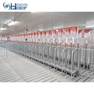 耐用养猪场自动链条自动养猪场连锁饲养系统猪 - Product Image 1