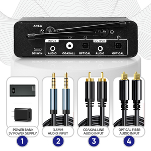 Karaoke Wireless <strong>Microphone</strong> System with Reverberation DSPBT5.0 Optical <strong>Input</strong> and <strong>Output</strong> Interface