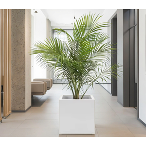 ガーデン用GRC植木鉢プレキャストコンクリートプランターキュービックプランター - Product Image 6