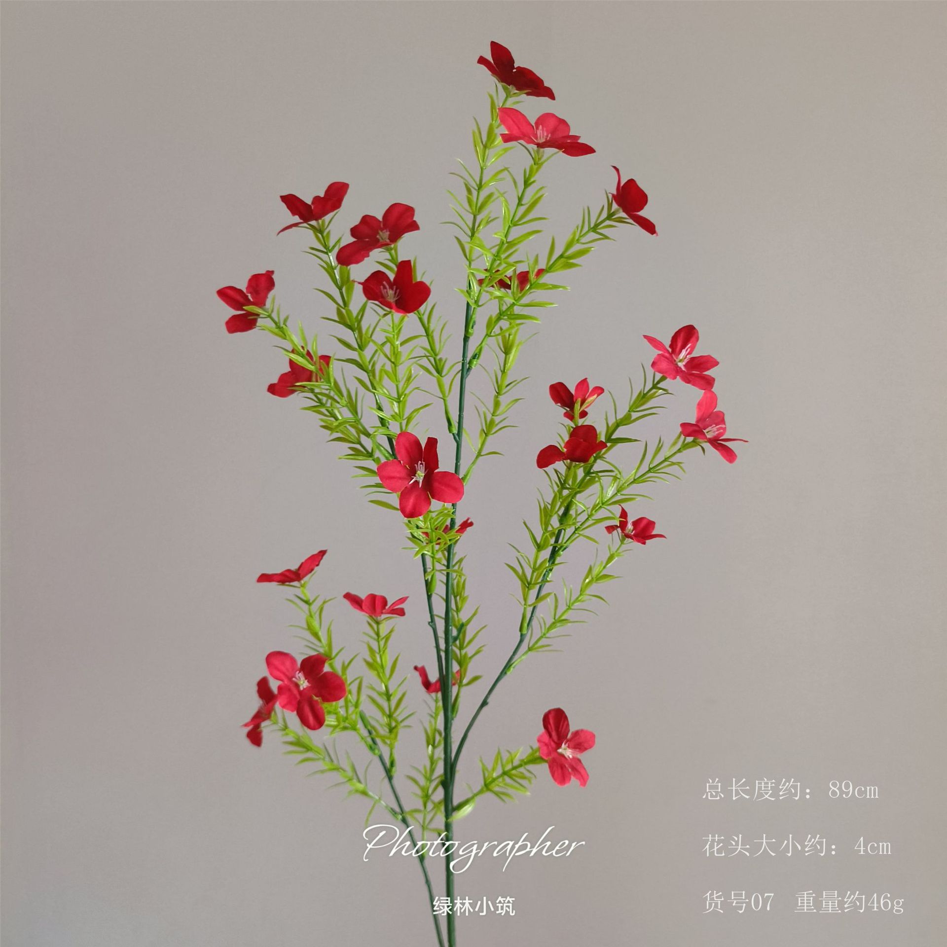 Article n° 07 - Petite fleur sauvage