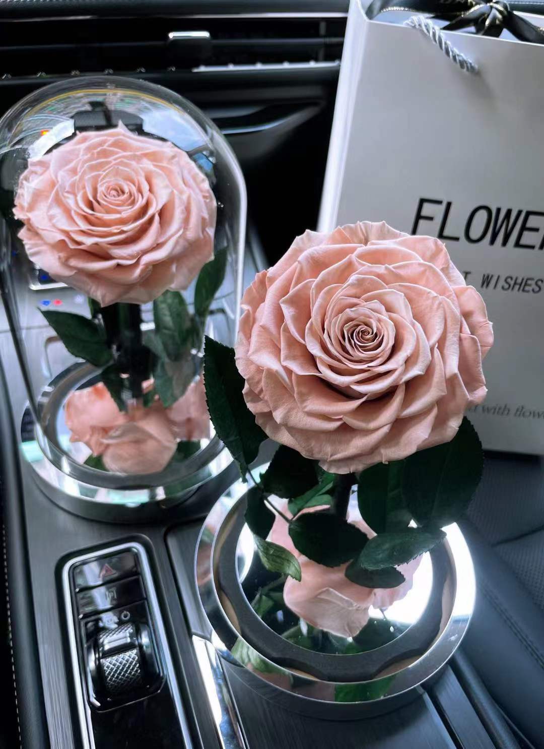 Rosa