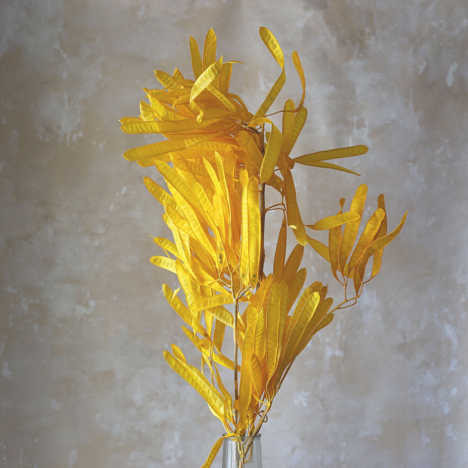 สีเหลือง