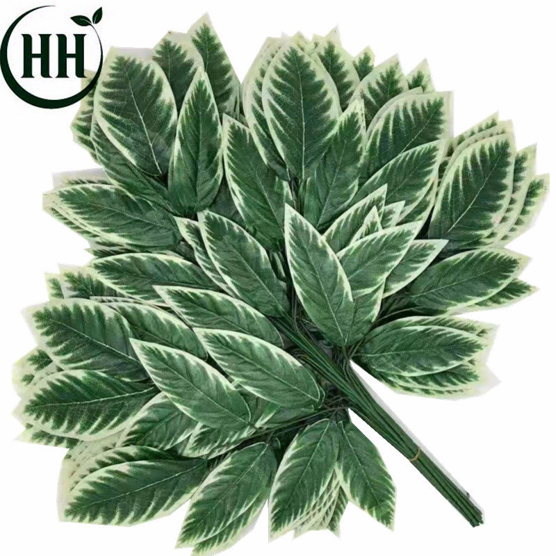 White-edged green leaves