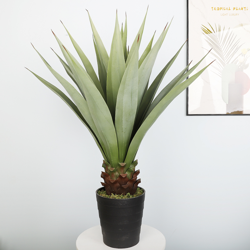 สไตล์2-100ซม