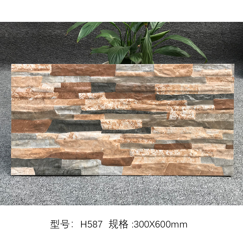 Autre - h587