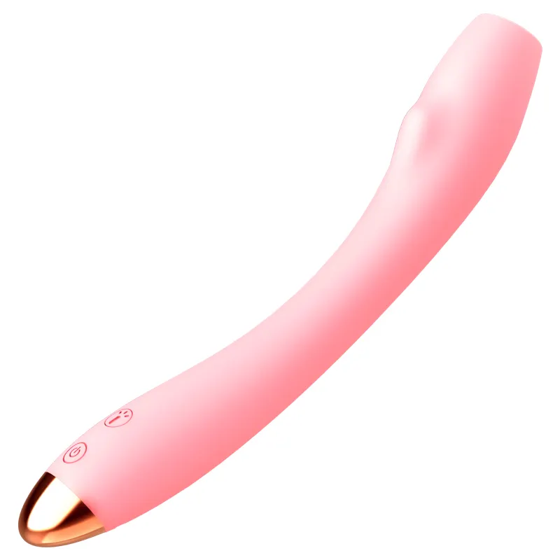 Erosjoy Dildo vibratore giocattolo del sesso per le donne orgasmo masturbatore G punto Clit stimolare il telecomando mutandine vibratori adulti giocattolo del sesso