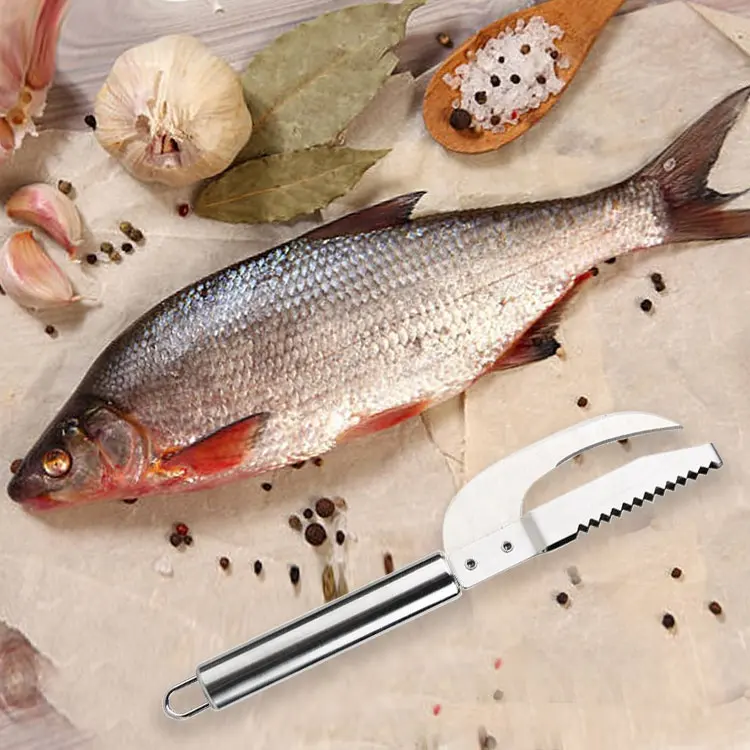 Gloway 3-in-1 스테인레스 스틸 수동 생선 필러 두피 스크레이퍼 절단 긁기 및 파기 용 다기능 물고기 비늘 칼