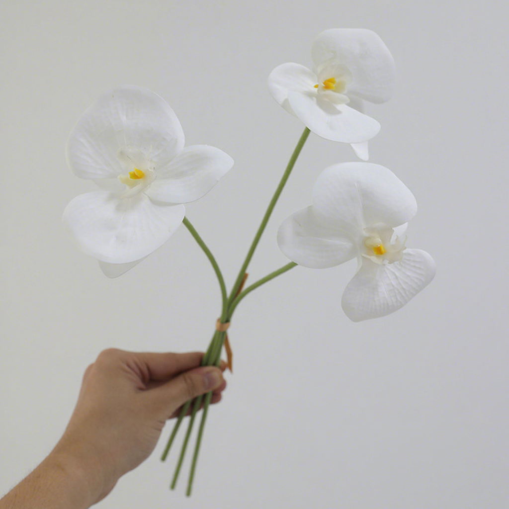 Blanc pur