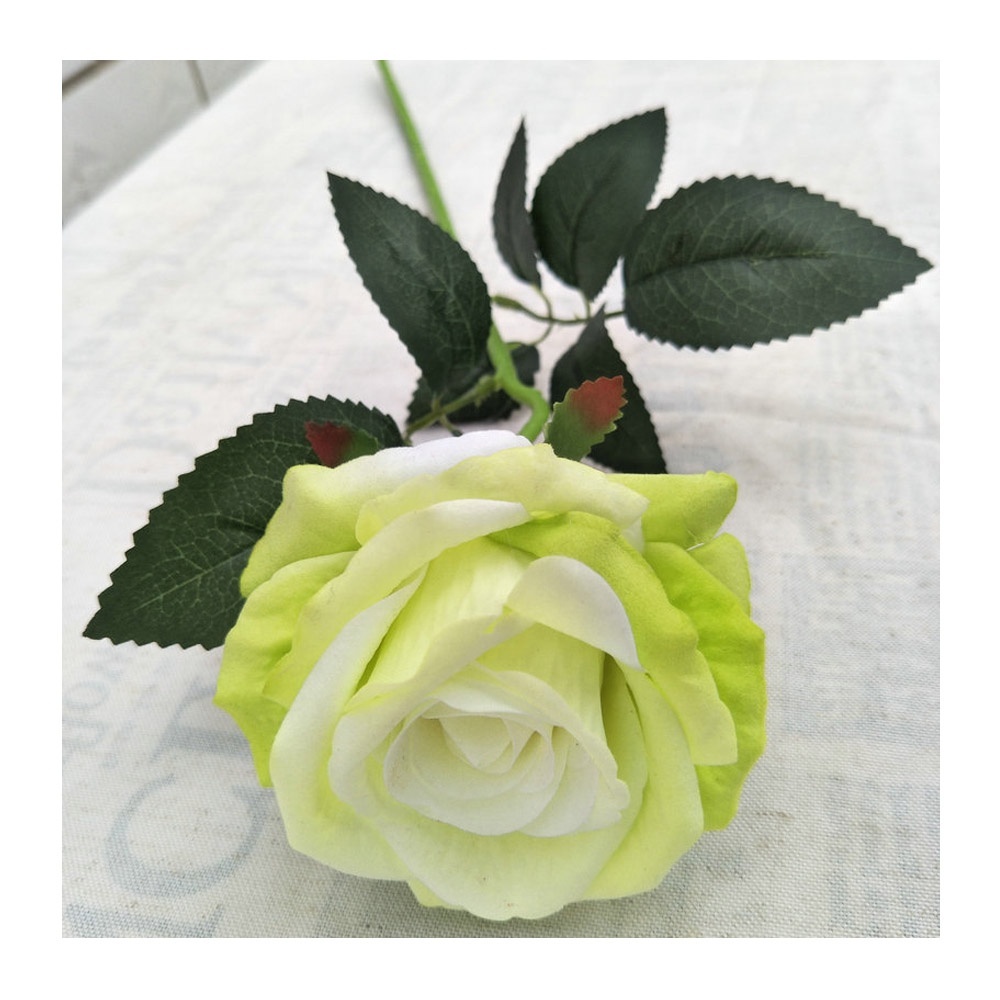 Rosa singola verde, nuova.