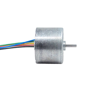 High Rpm <strong>Dc</strong> Bldc <strong>Motor</strong> Electric 24mm Diameter <strong>Low</strong> <strong>Noise</strong> 24v Brushless <strong>Motor</strong>