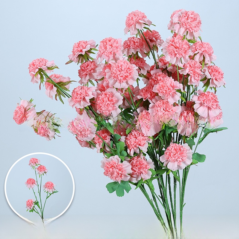 5 stems of Cordyceps sinensis/1 branch