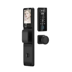 Blocco completamente automatico Tuya telecomando biometria porta impronta digitale serratura riconoscimento facciale con fotocamera