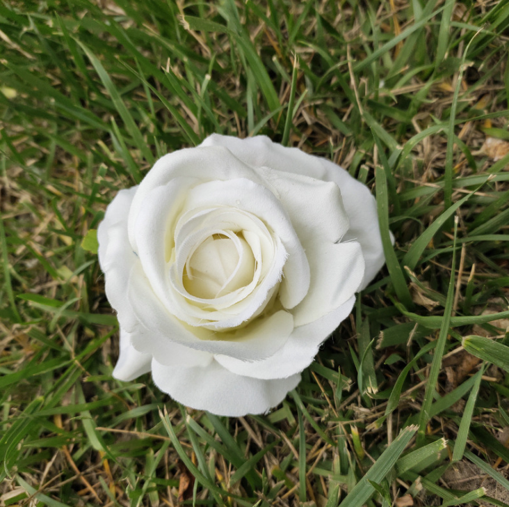 Bianco