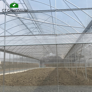 GT vòm màu xanh lá cây nhà kim loại khung Multi-span nhà kính nông nghiệp - Product Image 5