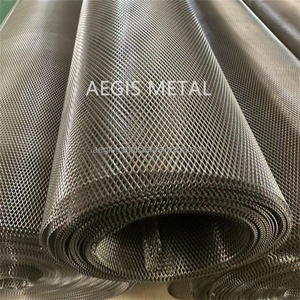 <strong>Titanium</strong> Micro Mesh/<strong>titanium</strong> Mesh Electrode/Pure Ta1 3X5mm Micron Hole <strong>Titanium</strong> Expanded Mesh - Product Image 6
