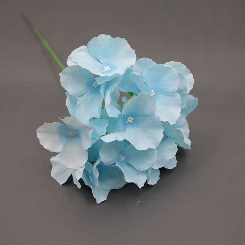 Bleu clair avec des branches