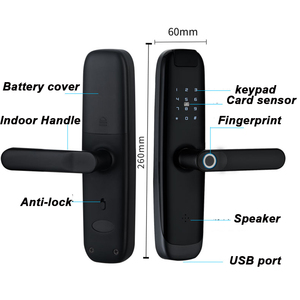 5050 serratura da infilare Tuya Wifi Smart Fingerprint Lock serratura per porta con maniglia a leva digitale elettronica automatica