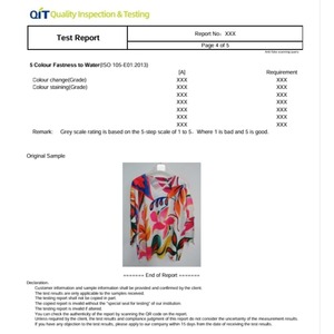 Стандарт США GCC CPC FDA FCC FHSA отчет о тестировании для младенцев и малышей - Product Image 6