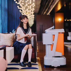 9 küp akıllı otel B & B Robot yeni durum verimli ve hızlı bir şekilde kapalı ve açık - Product Image 2