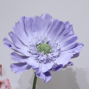 40cm