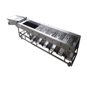 Máquina de selección y clasificación para ajo, limón, dátiles, tomates, piñas, patatas, graduador de frutas y verduras - Product Image 4