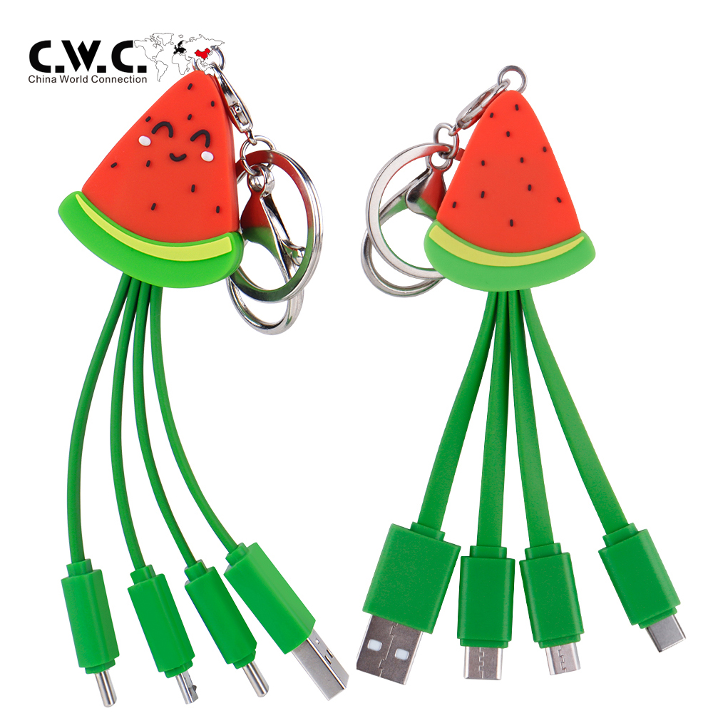 Câble de chargement USB 4 en 1 Pastèque