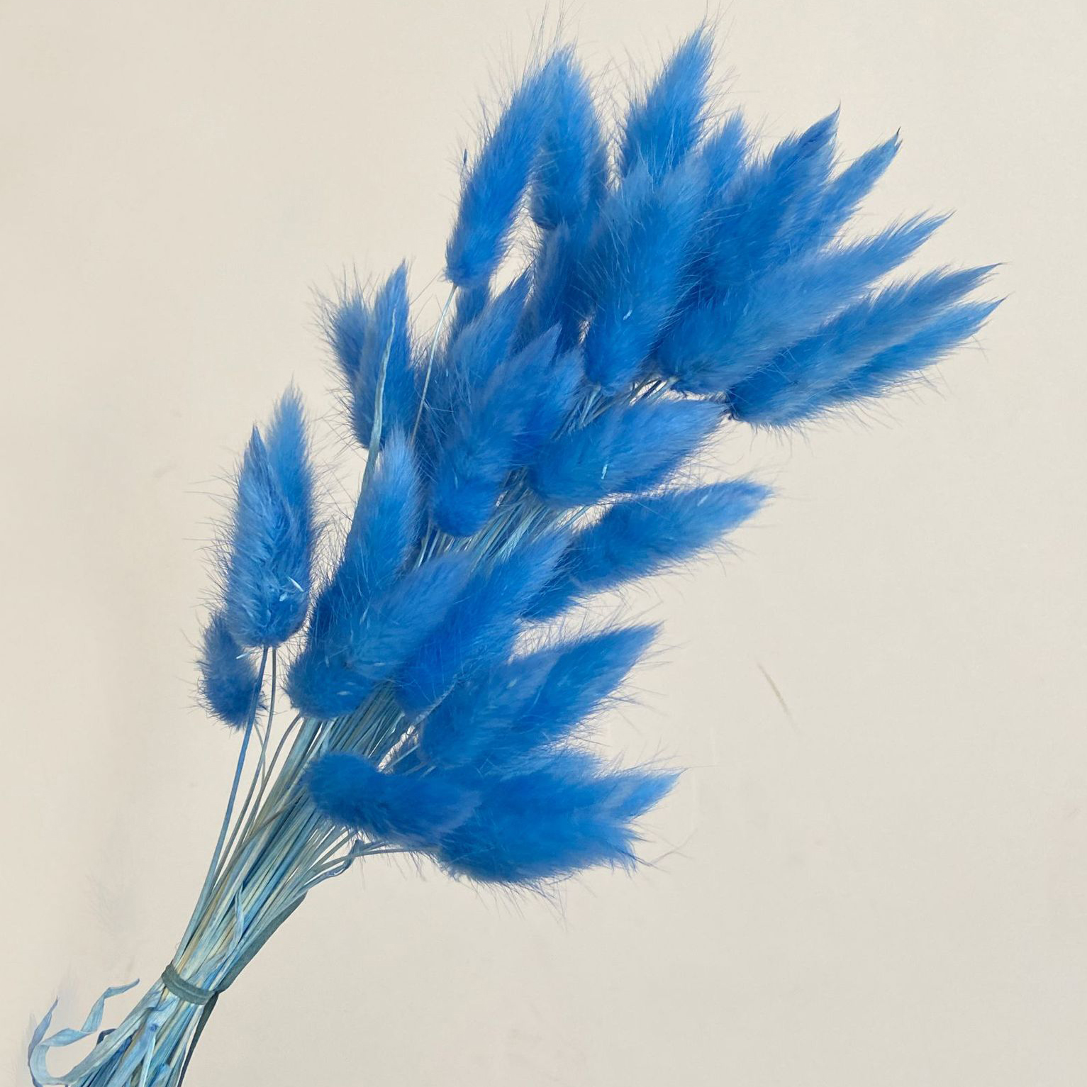 PU ciel