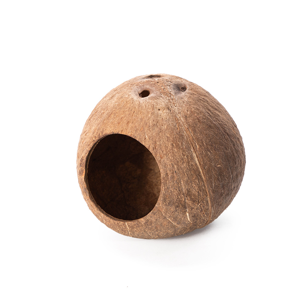 Nid de cachette complet en coquille de noix de coco