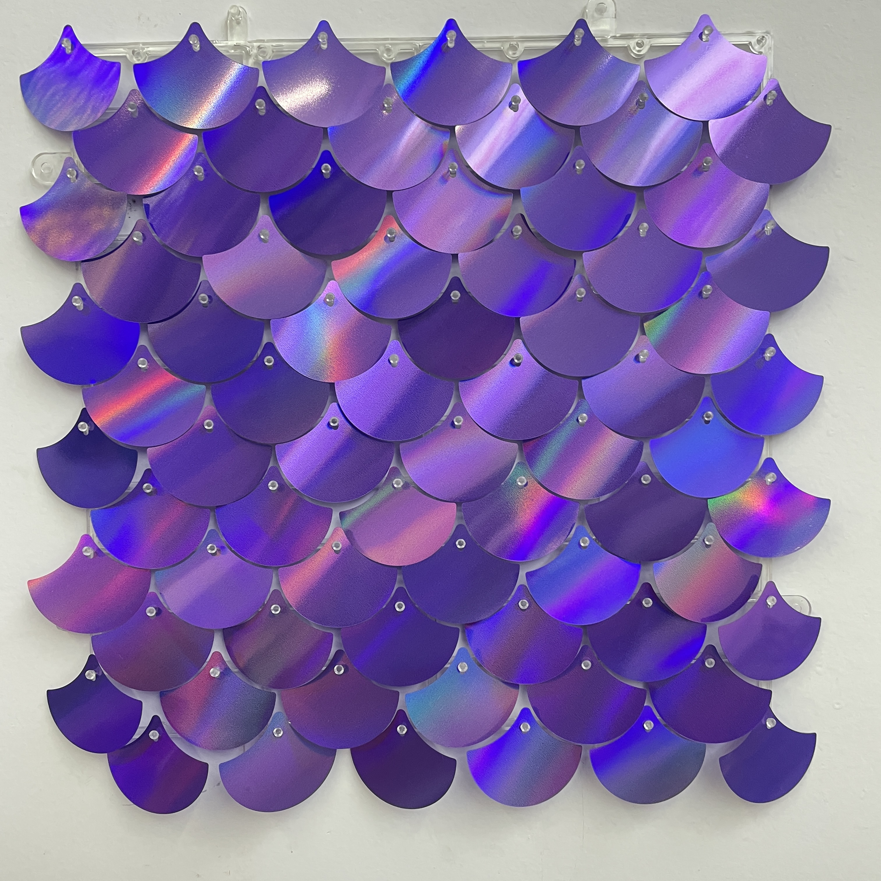 Multicolor Violet