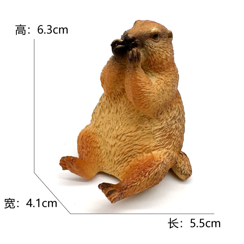 2731 marmotte-532g
