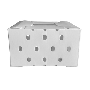 Factory Customized Light Weight Stackable Pp Hollow Picking <strong>Bins</strong> Recycled PP Hollow Sheet Box Pp Hollow Plate Box for <strong>Packing</strong> - Product Image 5
