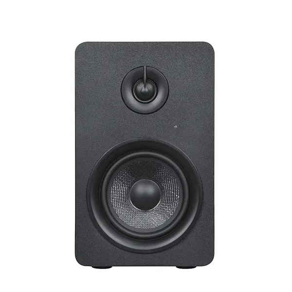 2024 hölzerner 100 W 5 Zoll Woofer Bass XLR TRS Heimlabor DJ professioneller angetriebener aktiver Studio-Monitor Lautsprecher