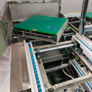 自由流速度链式输送机平滑高速自动物料处理系统 - Product Image 2