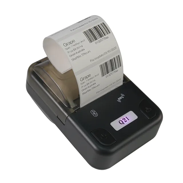PUTY gioielli adesivo termico Mini codice a barre stampante termica rotolo di carta in bianco e nero Bluetooth stampante di codici a barre per Iphone