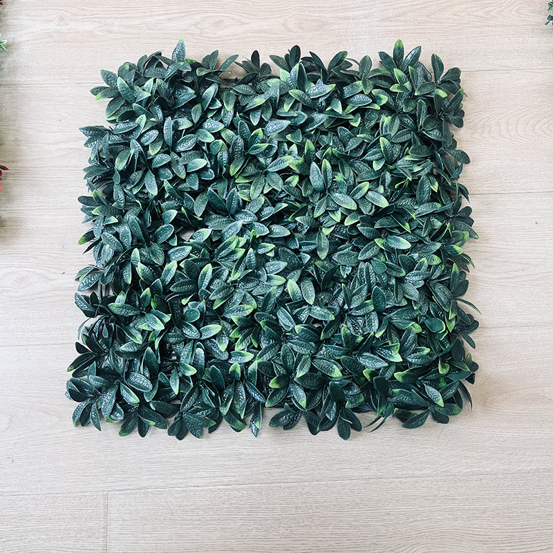 Gardenia leaves