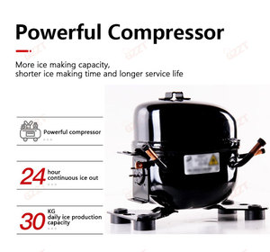 <strong>Two</strong> Water Intake Modes Multifunctional 25kg / 30kg / 40kg / 65kg / 80kg / 100kg <strong>Output</strong> Capacity Industrial Ice Maker Machine
