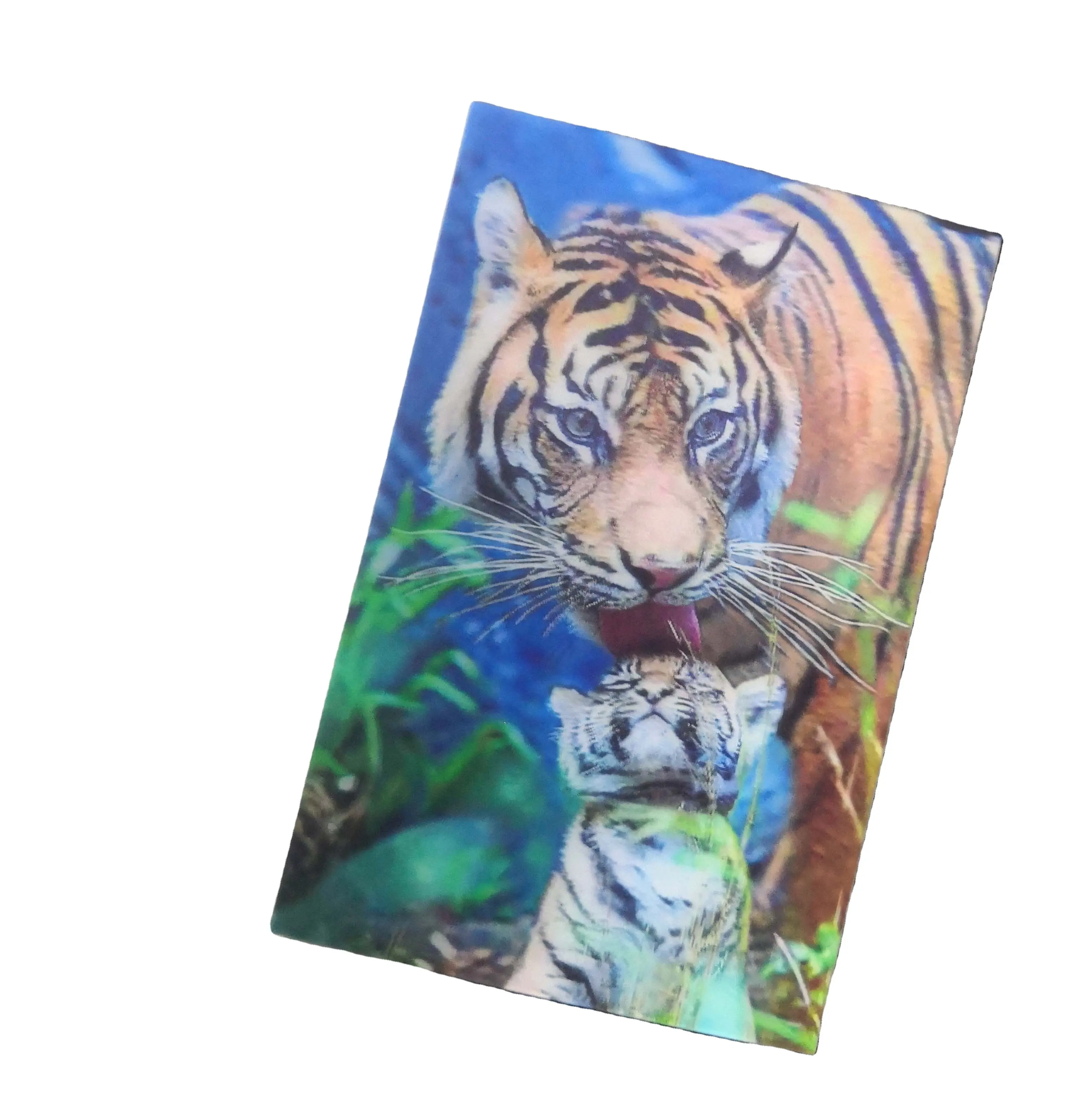 2020 nuovo design personalizzato 3D PET Gift Card stampa 3D lenticolare Souvenir cartolina di animali marini
